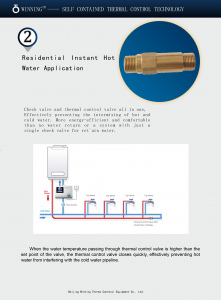 residential instant hot water valve 2